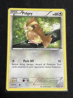 Pidgey (#11) Common XY Trainer Kit: Bisharp & Wigglytuff 11/30 LP Pokemon - Image 1