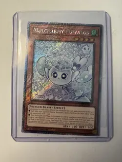 Mulcharmy Fuwalos RA04-EN050 PLATINUM RARE QC Stampede 1st Edition NM Yugioh! - Image 3