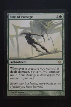 Magic The Gathering MTG RITE OF PASSAGE Fifth Dawn LP Lightly Played - Image 1