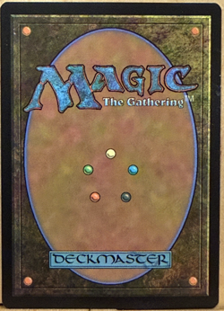 LIMITED EDITION Secret Lair MtG Nephalia Drownyard Unplayed NM Borderless! - Image 2