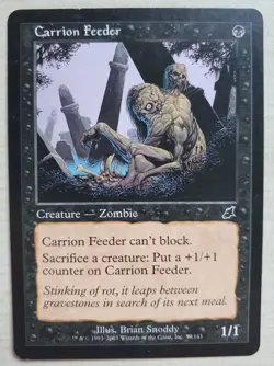 MTG Magic The Gathering Carrion Feeder Scourge Regular - Image 1