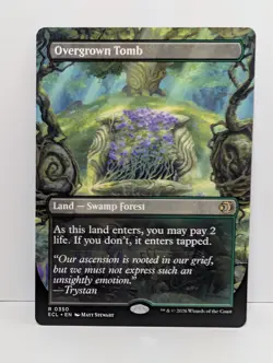 Overgrown Tomb - Borderless Flip - MTG Lorwyn Eclipsed ECL - Shock - NM - Image 1