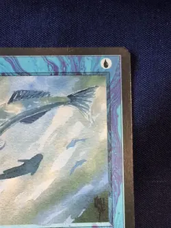 Mystic Remora - Ice Age ~LP/NM~ Magic The Gathering MTG - Image 3