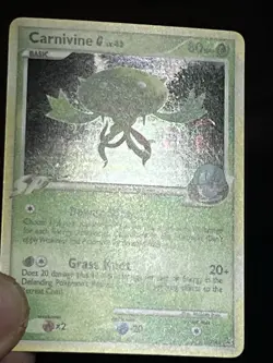 🔱🔱Mid Era HOLO Pokemon Lot| Arceus| Manaphy| Carnivine| Luxray✨✨ - Image 3