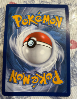 Pokemon TCG Toy Catcher (Secret) 233/203 SWSH07: Evolving Skies Holo - Image 2