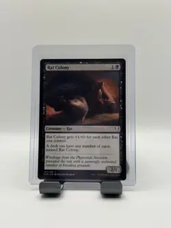 MTG, Rat Colony LP 101 Dominaria Regular - Image 1