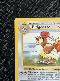 Pokemon TCG Pidgeotto 022/102 *Shadowless* Base Set Regular (English) - MP - Image 4
