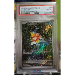 2023 Pokemon MAGIKARP PAL- EVOLVED EN (IR) ILLUSTRATION RARE #203 PSA8 NM-MT - Image 1