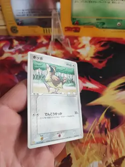 Pokemon Karte Card Taubsi Pidgey McDonald's Promo Pcg Glossy japanese NM- - Image 5