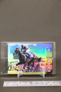 Kitasan Black Thoroughbred Horse Wafer Card Unopened BANDAI Japanese No.2-009 - Image 2