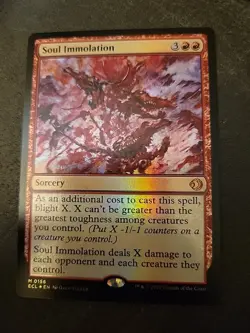 FOIL Soul Immolation - Lorwyn Eclipsed - MtG- NM - Image 1