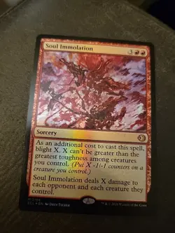 FOIL Soul Immolation - Lorwyn Eclipsed - MtG- NM - Image 3