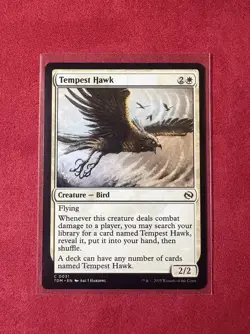 Tempest Hawk - Tarkir: Dragonstorm TDM - MTG Magic The Gathering #31 NM - Image 1