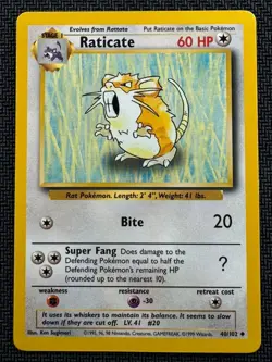 Raticate 040/102 WoTC Base Set Uncommon - Pokemon TCG - LP - Image 1