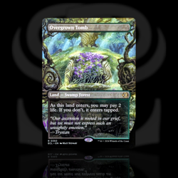Overgrown Tomb •Borderless Alt Art• Rare Land, Swamp Forest, Lorwyn Eclipsed ECL - Image 1