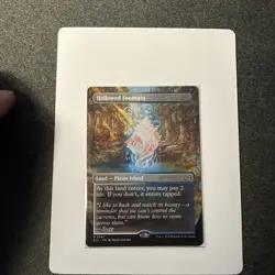 Hallowed Fountain (Borderless) Lorwyn Eclipsed Regular - Image 1