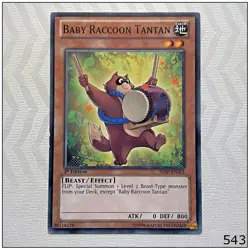 Baby Raccoon Tantan - SHSP-EN015 - Common 1st Edition Yugioh - Image 1