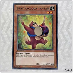 Baby Raccoon Tantan - SHSP-EN015 - Common 1st Edition Yugioh - Image 1