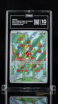 TAG 10 - Shuckle 136/132 Illustration Rare Pokemon Mega Evolution Base Set Gem - Image 1
