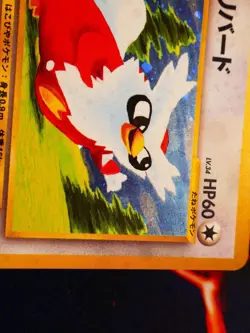 LP/MP JAPANESE Pokemon DELIBIRD Card NEO REVELATION/AWAKENED Set #225 HOLO RARE - Image 4