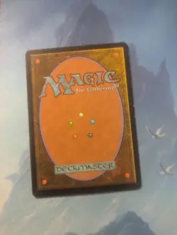 Cultural Exchange Odyssey Regular - Image 2