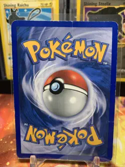 Pokemon TCG Totodile Expedition Reverse Holo 134/165 2002 WOTC Vintage DMG - Image 2