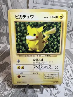 Pokemon Card Ivy Pikachu How to Play Promo No.025 No Rarity Japanese. - Image 1