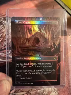 MTG Blood Crypt (Borderless) Lorwyn Eclipsed Foil ECL 0349 NM - Image 2