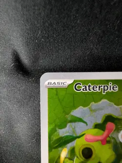 Pokemon TCG Caterpie Scarlet & Violet-151 172/165 Holo Illustration Rare - NM - Image 3