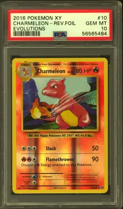 Pokemon XY Evolutions Reverse Holo Foil Charmeleon 10/108 PSA 10 GEM MINT - Image 1
