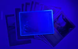 MTG Magic the Gathering Alternate 4th Edition Land Lot (12) Forest, Swamp, Plain - Image 3