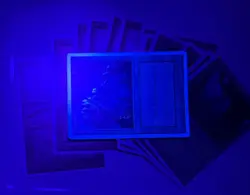 MTG Magic the Gathering Alternate 4th Edition Land Lot (12) Forest, Swamp, Plain - Image 4