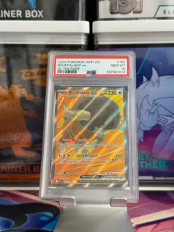 PSA 10 - BOUFFALANT EX #162 - 2025 POKEMON WHITE FLARE - Image 1