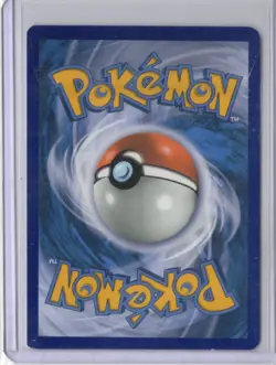 Pokemon Charizard VSTAR SWSH262 Sword & Shield Promo Holo Black Star READ - Image 2