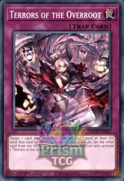 1st Ed Terrors of the Overroot SDCK-EN040 Yugioh - Image 1