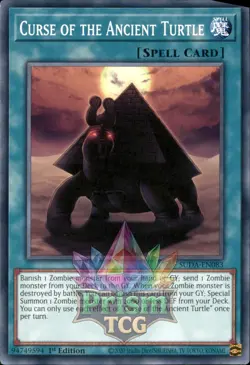 1st Ed Curse of the Ancient Turtle SUDA-EN083 Yugioh - Image 1