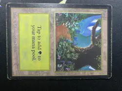 Magic the Gathering Beta Forest Limited Edition LP Condition - Image 1