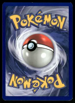 Pokemon Cards Pikachu 1 Wizards Black Star Promos WOTC Promo NM *4 - Image 2