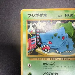 Pokemon Card Japanese 【U.S./DDP】 Old Back Bulbasaur Intro Pack Rare - Image 2