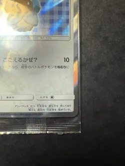 Sealed Pokemon Cards Glaceon Poncho-wearing Eevee TD 143/SM-P PROMO Japanese - Image 5