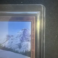 MTG 30th Anniversary Edition - Taiga- Dual Land Retro - Image 2