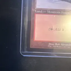 MTG 30th Anniversary Edition - Taiga- Dual Land Retro - Image 4