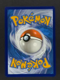 Quaquavel ex 269 Pokemon PAL Paldea Evolved 2023 NM 🔥🔥🔥 - Image 2