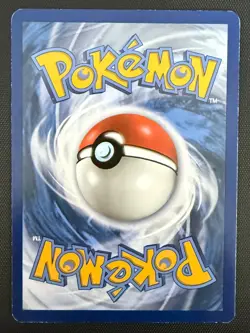 Pokemon TCG Card - Litten SM23 Sun & Moon - Black Star Promo - Image 2