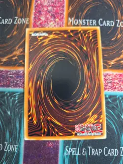 Yu-Gi-Oh! TCG Virtual World Oto-Hime - Toutou BLVO-EN099 Super 1st Edition NM - Image 3