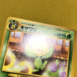 Pokemon Card Japanese【10set】Old Back Series Vintage Common Bulk Set Nintendo - Image 4