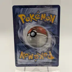 Sealed Mega Charizard X Ex, Oricorio Ex UPC Promo Cards with Sleeves & Card Box - Image 4