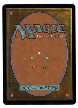 Yavimaya Coast - MTG (SP Quality) - Apocalypse - See pics/scans! - Image 2