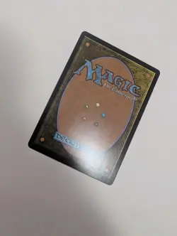 MTG - Kinscaer Sentry (Showcase) - Lorwyn Eclipsed NM/M Condition - Image 3