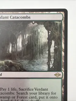 Verdant Catacombs Modern Horizons 2 Regular - Image 3